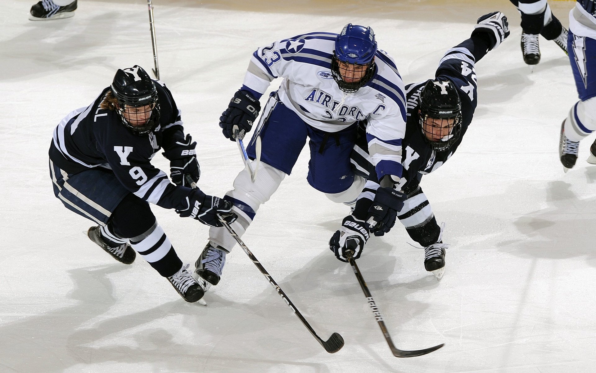 主办方发布赛事观赛礼仪手册，倡导文明观赛，文明观赛方案