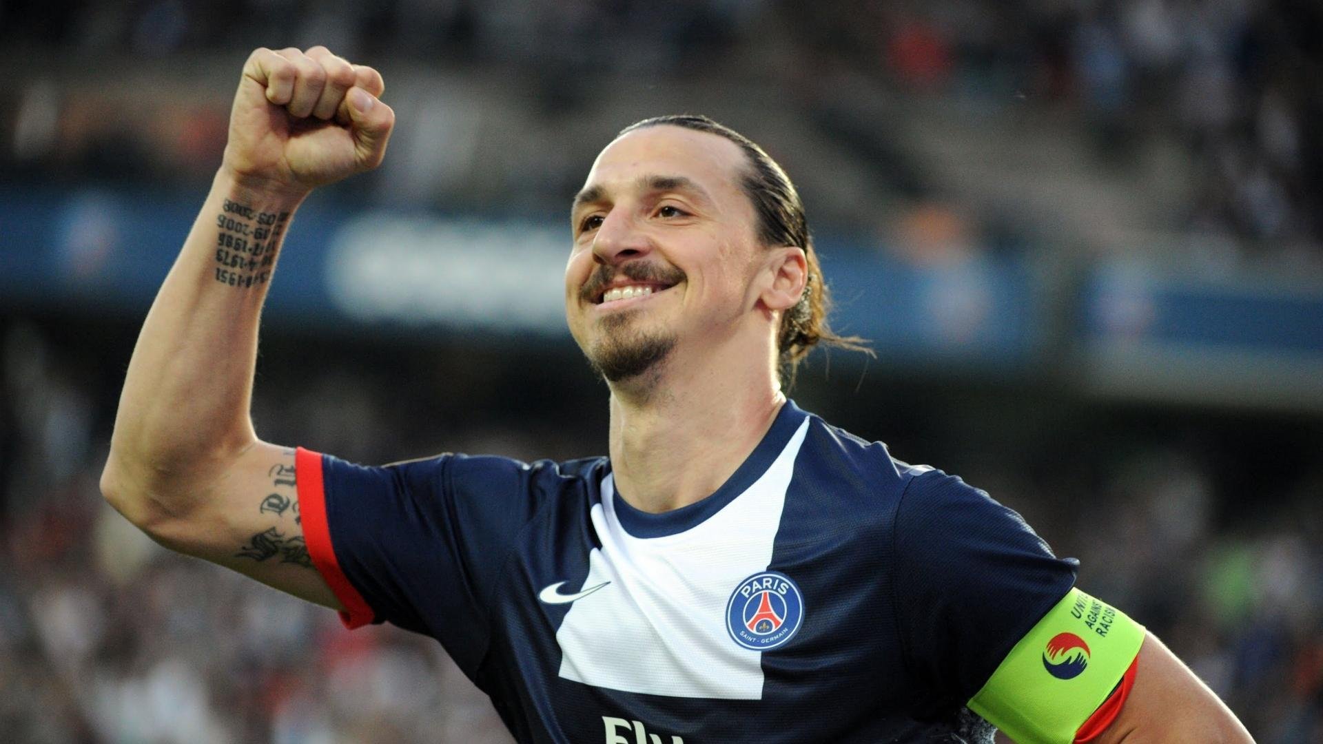 斑马已瘦，大黄蜂正肥！，斑马和黄蜂